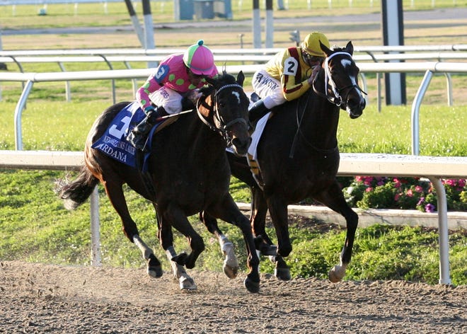 Zardana, left, with David Flores aboard, runs past Rachel Alexandra down the stretch to win the New Orleans Ladies horse race on Saturday at the Fair Grounds in New Orleans.