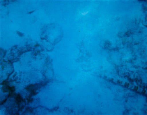 In this October 2009 underwater photo provided by John F. Muldowney, is shown a portion of the ocean floor off the coast of Aruba. Muldowney feels the photo, taken by his wife, Patti, while the couple was on vacation in Aruba, may show the remains of Natalee Holloway, the Alabama honors student who disappeared in Aruba nearly five years ago. The Intelligencer Journal/Lancaster New Era reported that the photo has been turned over to the FBI. (AP Photo/Patti Muldowney)