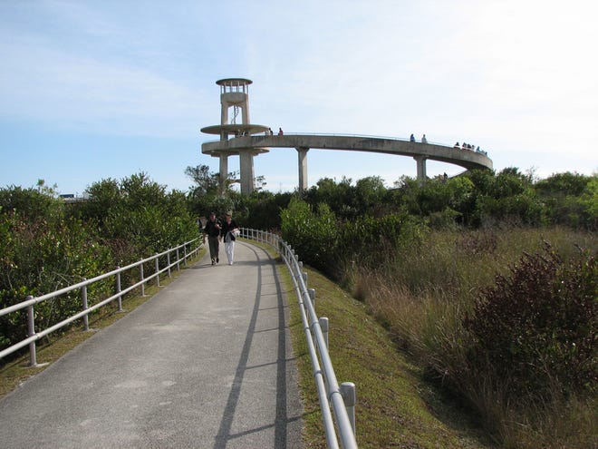 A 50-foot observation tower gives visitors a good view of the Everglades.