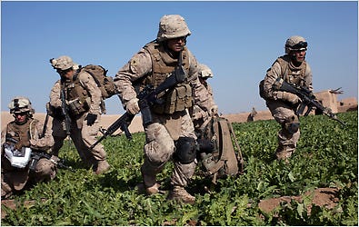 American Marines in an opium poppy field in Marja, Afghanistan, last month. The military decided not to destroy the fields.