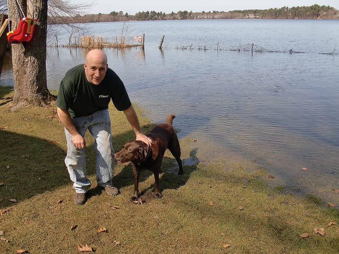 Greg Johnson, a resident of Lakeview Drive in Taunton, checks out the water levels of Lake Sabbatia with his dog Abby.