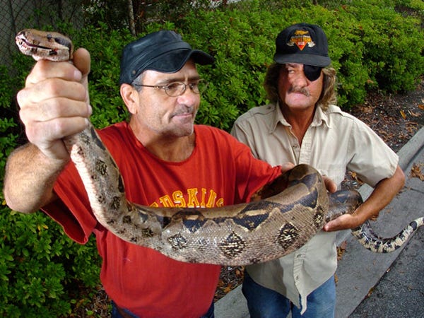 Billy Ballard (left) and his brother Ronnie Ballard show off the seven-foot boa constrictor the two rescued after they saw a vehicle hit the large snake in October.