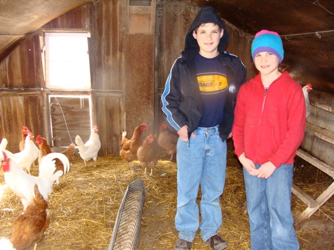 Daniel and Destiny Herrmann raise chickens outside Dunlap. They say it is a fun job, sometimes. Other times it is a responsibility.