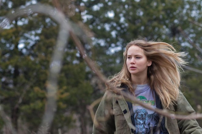 A chilling southern gothic thriller with tremendous sense of regional atmosphere, Winter's Bone took this year's Special Jury Prize at the Sarasota Film Festival.
