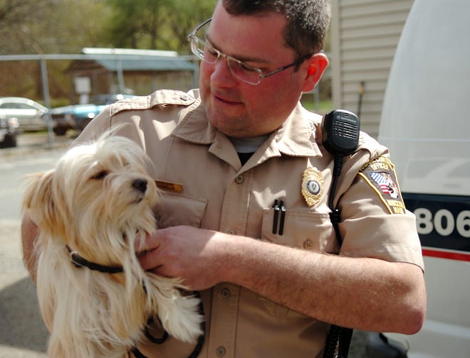 Animal Control Officer Tom DeChellis carries a dog back to the Brockton animal control office on Court Street recently.