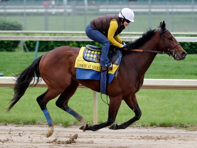 Exercise rider Dana Barnes takes Kentucky Derby hopeful Lookin at Lucky for a workout Monday in Louisville, Ky.