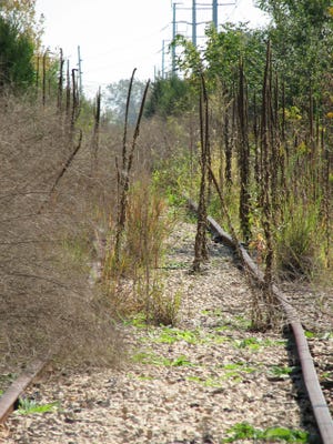 Fall weeds cover the Kellar branch rail line near Northmoor Road in Peoria. The cities of Peoria and Peoria Heights, along with the Peoria Park District, have encountered numerous stumbling blocks in their quest to build a six-mile trail.