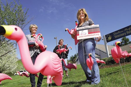 Newfields Main Street Art Association members, from left, president Kelley Corson, vice-president Natalie Fream, and board member Mary Nicholson stand among a handful of flamingo figures, which are a part of their organization's fundraising efforts in which anyone can pay money to plant the figures in a friend's yard.