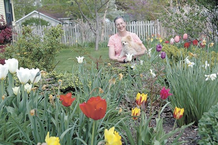 Gail Poley and her Pomeranian, Buddy, spend many hours outside together in their garden at 115 N. Monroe St.