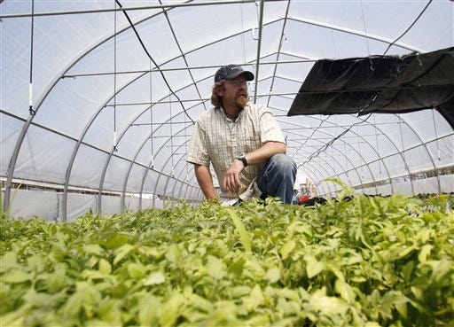 Organic farmer Chris Cashen poses with young tomato plants in Claverack, N.Y., on Friday, April 23, 2010.
