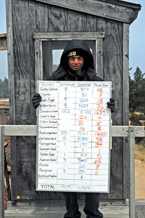 Lake Superior State University student, Jason Bojczyk, held the current hawk count board on Tuesday at the observation deck at Whitefish Point. Tuesday’s migration was better than last week, Bojczyk said as sharp-shinned hawks buzzed around over the deck in the strong wind. He reported that over 300 raptors were spotted on Tuesday.