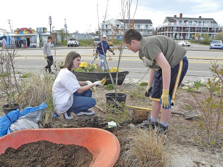 courtesy photo
Winnacunnet High School students plant several bushes and flowers at Bicentennial Park with the goal of attracting additional birds and butterflies to the area.