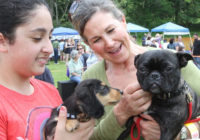 Wayland resident Sheva Moradi, left, 12, introduces her puppy, Max, to Coco, who is held by her owner, Concord resident Laurie Zilioli, during Sunday's Paws in the Park fundraiser for Save A Dog at Wayside Inn in Sudbury.