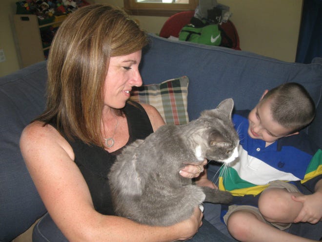 Kelly Molito and her son nurse Charlie the kitten back to health after a May 13 attack that left the feline mutilated. The bloodied Charlie was able to make it back to the family’s Butternut Lane home in Whitman.