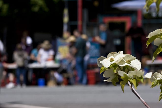 Most downtown merchants reported a surge in business during Dunsmuir's Dogwood Daze over Memorial Day weekend.