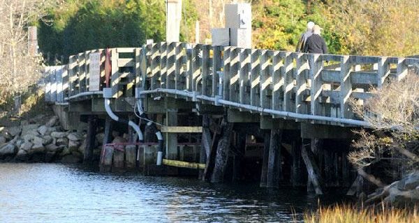 Two Chatham groups want to stop a plan to replace the wooden drawbridge over the Mitchell River with a steel and concrete structure.