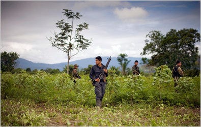 Last month, Peruvian antinarcotics police secured a coca field in the Alto Huallaga Valley in central Peru, where guerrillas killed three people in April.
