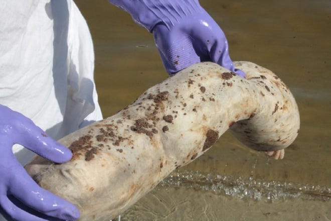Gooey oil is seen on a boom bag collected off the Alabama coast. The bag contents are made of hair clippings collected from hair salons throughout the country.Matter of Trust