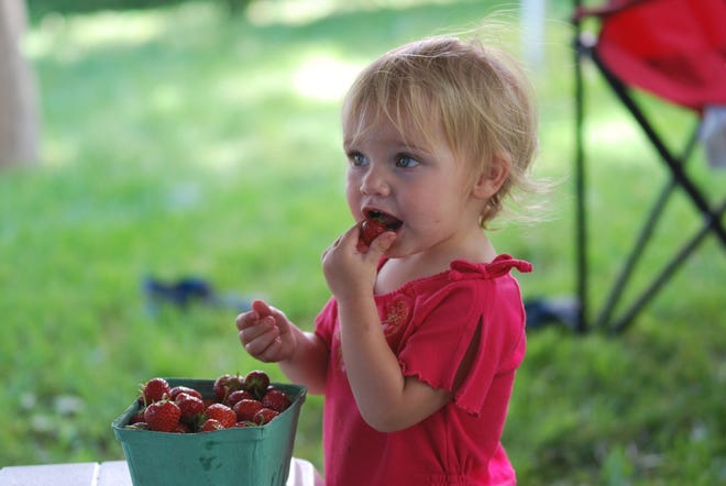 Brooke Lane, 1, enjoys strawberries from Sunshine Farm at a weekly farmers' market in Milton on June 24, 2010.