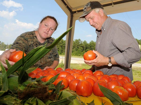 Fallon Clemmons (left) helps Robert Johnson select tomatoes at C & J Produce off Hwy. 17 on June 23. Brunswick County has begun a crackdown on roadside vendors in the county, and roughly 30 will be subject to fines.