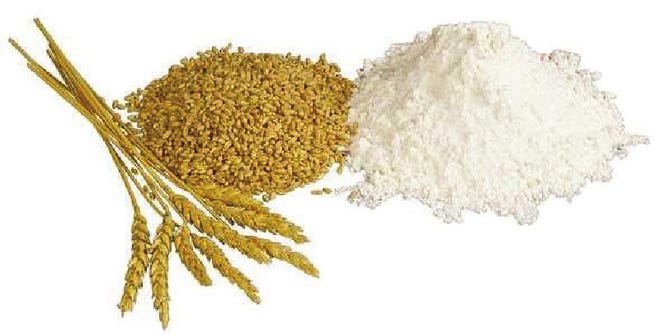 Wheat, whole grain and processed wheat flour