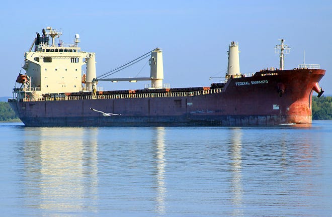 The Federal Shimanto heads downbound on the St. Marys River on Wednesday afternoon. This photo, taken at 4 Mile Beach, captures the 624-foot long ship, registered in Japan, traveling in the afternoon sun. The bulk carrier was built in 2001.