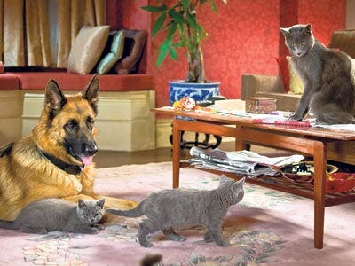 Felines and canines take on the role of spies in 'Cats & Dogs: The Revenge of Kitty Galore.'