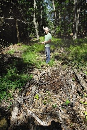 York resident Ron Nowell stands on a path filled with tree debris made from a skidder after trees were cut on property owned by the Kittery Water District in York.