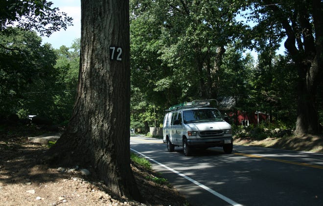 The Shields family wants the town to cut down this tree at the end of its driveway at 72 Marlboro Road in Southborough.