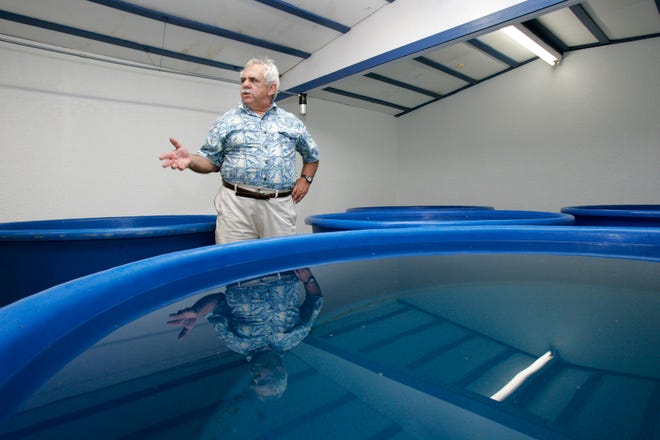 In this photo taken July 9, 2010, Jack Rudloe speaks about his work while reflected in one of the healthy sea water holding tanks at the Gulf Specimen Marine Lab in Panacea, Fla. In the wake of the Deepwater Horizon oil spill Jack Rudloe is working on a "Noah's Ark" project at the facility to protect the species in the gulf effected by the oil.