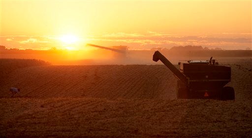 In this Oct. 5, 2009 photo, a central Illinois corn and soybean farmers race against the setting sun to harvest his cornfield in Loami, Ill. (AP Photo/Seth Perlman)