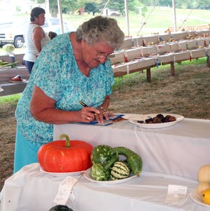 Esther Beaver of Waynesboro marks the blue ribbons before placing them on the winning vegetables Wednesday night at the Franklin County Fair.