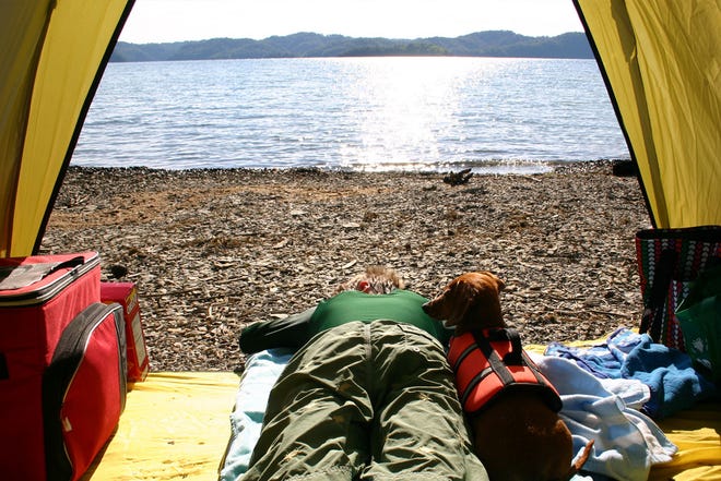 Wilderness camping can be a fun, relaxing experience, as long as people practice safe habits. Rob Venner, director/naturalist of DeGraaf Nature Center, offers tips that any camper or hiker should follow to ensure they stay safe outdoors.
