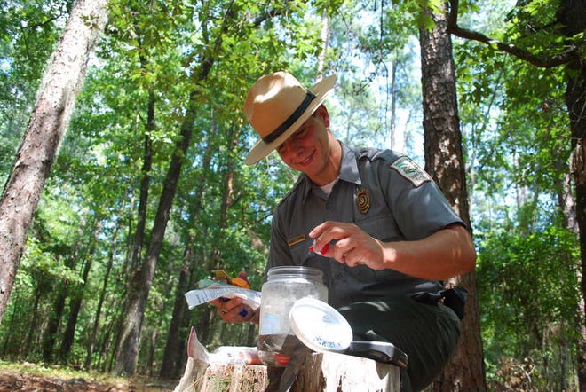 Rowdy Harris, a ranger in Santee State Park in Orangeburg, S.C., examines one of two geocaches at the park after navigating his way to the hidden treasure via his hand-held GPS device.