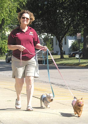 Sharon Hansen, Pontiac, took Koko, 2, left, and Mitzi, 5, for a fashionable stroll Thursday morning. Hansen was wearing sunglasses and so were the canines. The clothes and glasses for the dogs were purchased as a set.