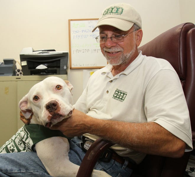Bruce Fishalow, the executive director, poses with Phoenix, a 2½-year-old pit bull mixed breed, at the Humane Society of Marion County Shelter on Wednesday. Phoenix is the shelter's mascot and will be ready for adoption at the no-kill shelter.