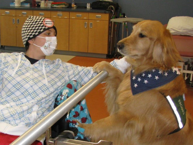Courtney Wolfe, 14, pets Aspen, a therapy dog at Brooks Rehabilitation Hospital.