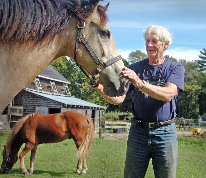 Jim McCollum, owner of a farm on High Street in Pembroke, managed to kill a rabid skunk that got into his barn last Friday. State health officials have confirmed that the skunk he spotted terrorizing horses outside his High Street barn was indeed rabid. Another infected skunk was caught at 125 High St. on Sept. 6 after it tried to attack a dog.