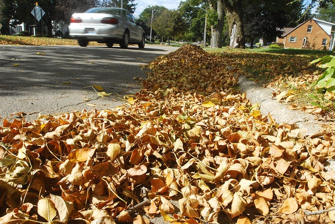 Leaves, raked into the roadway on Lincoln Avenue, await pickup by the city. Pickup begins the second week of October.