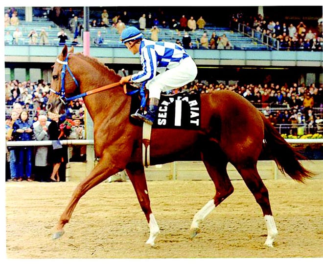 In 1973, Secretariat was the Triple Crown winner — the greatest of American racehorses. William “Bill” Nack, turf writer for Newsday newspaper from 1972 to 1975, wrote the book Secretariat: The Making of a Champion, which has been made into a soon-to-be-released motion picture. Nack will speak at the 7 p.m. Oct. 14 meeting of the Allison-Antrim Museum in the downstairs social room of the Evangelical Lutheran Church, 130 N. Washington St, Greencastle. Nack will talk about the career of Secretariat and will weave into the narrative his own extraordinary career as a turf writer. The program is open to the public.