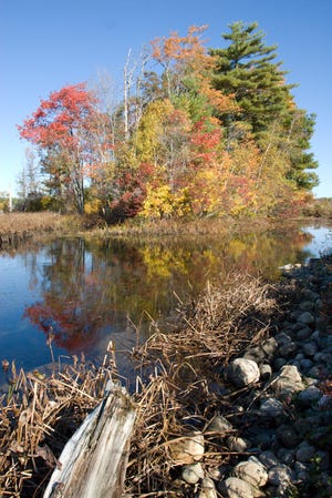 The Burrage Pond wildlife management area in Halifax and Hanson offers 1,638 acres of upland, swamps and water.