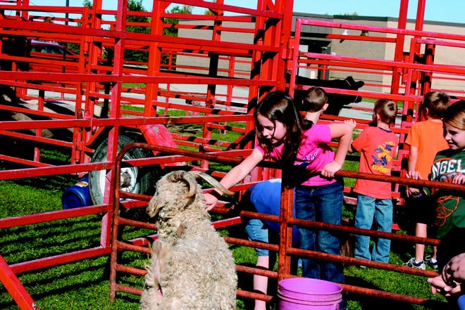 West Central elementary students get a chance to interact with farm animals Friday at the West Central Ag Day. The animals have been raised and cared for by West Central FFA members.