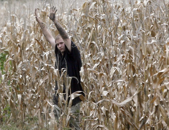 A man walks out of a cornfield after Topeka police officers and Shawnee County sheriff's deputies coax him from a cornfield near S.E. 3rd and Woodland on Tuesday. The man fled into a nearby cornfield after allegedly stabbing a 27-year-old Topeka resident. The Kansas Highway Patrol helicopter spotted the man in the field.