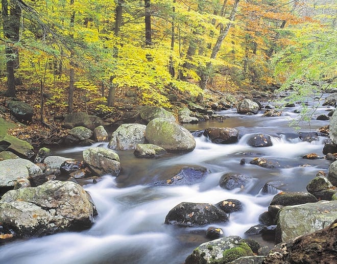 This beautiful photograph of a stony brook in Harriman State Park is the perfect representation of this season of change. Are you flowing and moving through life, or are you stuck?