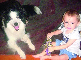 Ashton Tarter, who turns 2 on Nov. 12, has fun with Jax, a border collie.