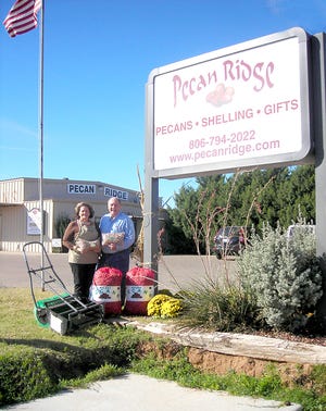 TEXAS-GROWN PECANS! - Pecan Ridge provides fine Texas pecans and pecan products. Owners Vicki and John Jobe welcome you to visit today for fresh pecans to use in holiday baking, for snacking, or as a treat in a gift basket. Pecan Ridge is located at 6201 114th St., telephone (806) 794-2022. Just go south two miles of 82nd Street on Frankford to 114th Street; turn west (right) and go half a mile until you see Pecan Ridge's sign.