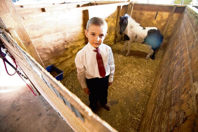 Christopher Ocull, 7, is shown with his newest minature Toy. Ocul recently won 5 national championships at the AMHR national competition in Tulsa, OK. Ocull is shown at his grandmother's miniature horse farm in Sparr, FL on Friday October 29, 2010.