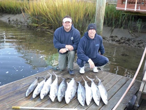 Kings caught bt Stephen Hunter, Lee Moore and Player Gunter while fishing near the Jungle using dead bait on Monday 11-14-10. They caught their limit of kings and released many more.