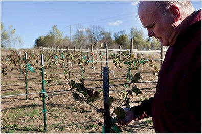 Nick Martin at the Highland Community College vineyard in Wamego, Kan., where he has taught winemaking since losing a fortune he got from the sale of the business his father founded.