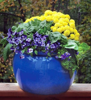 A decorative pot containing violas, left, spinach, center, and yellow mums in a photo from Pamela Crawford’s book “Easy Container Combos: Vegetables & Flowers.”